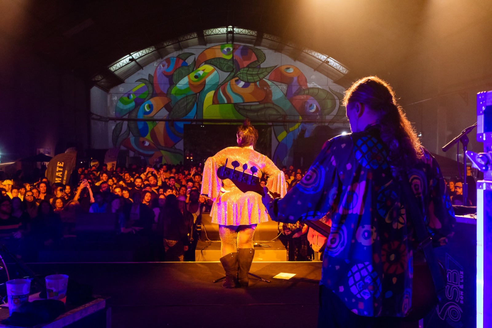 Público lotando a pista em um show do Chiquinha Gonzaga Fest